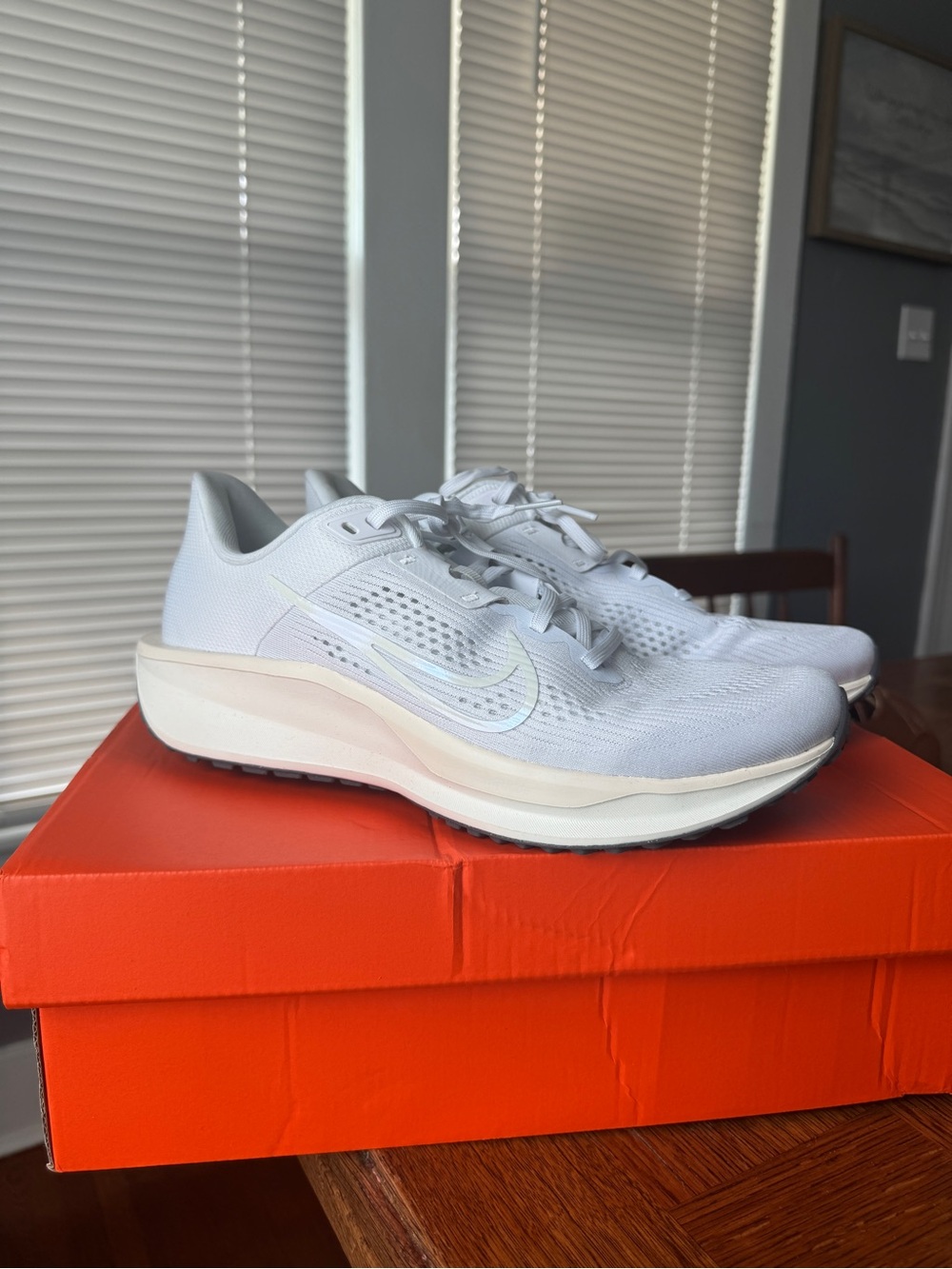 Nike Women’s quest 6